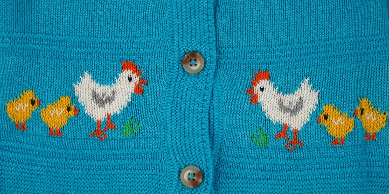 Infant Girls Sweater Chicken - Blue